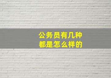 公务员有几种 都是怎么样的